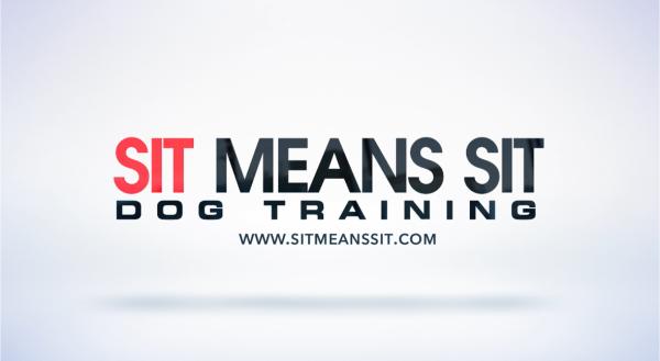 Sit Means Sit Dog Training- Metroplex East