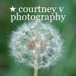 courtney v photography