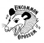 Uncommon Opossum