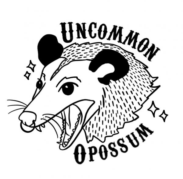 Uncommon Opossum