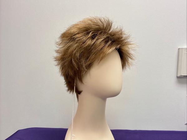 Lizzy wig