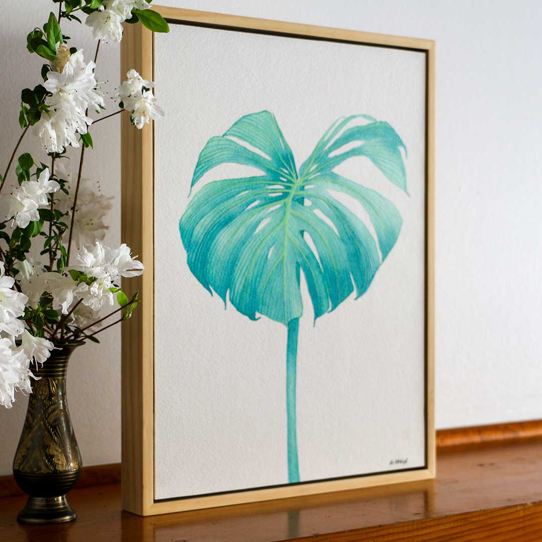 Sea Monstera picture