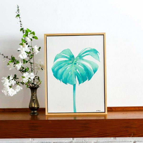 Sea Monstera picture