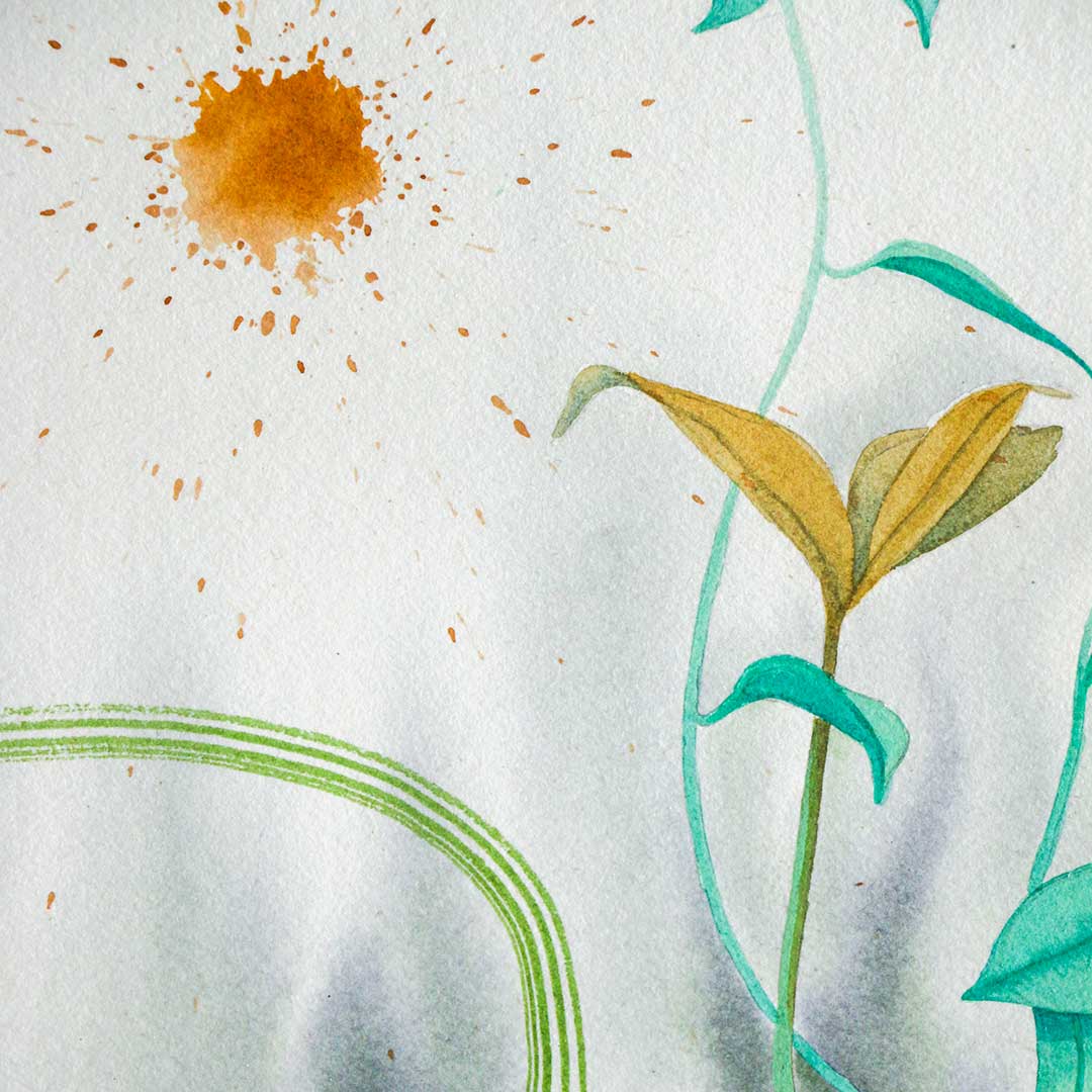 Slow to the Drip of Honey picture