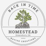 Back In Time Homestead