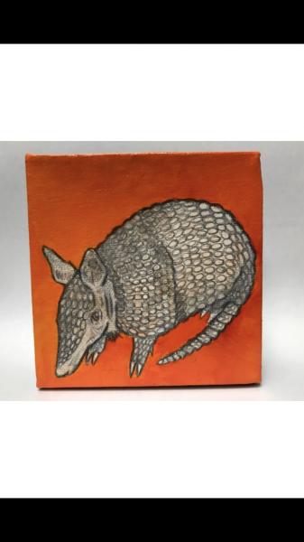 Armadillo orange picture