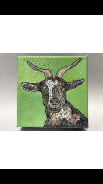 Goat green