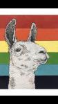 Pride llama print