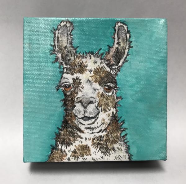 Llama blue picture