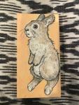 Quarantine Rabbit on yellow/peach