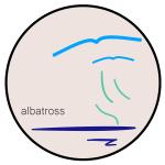Albatross Coffee Project