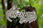Ivy Caverns