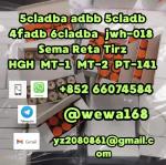 5cl-adb 5cladba 5cl 5cladba adbb precursors 5cl-adb