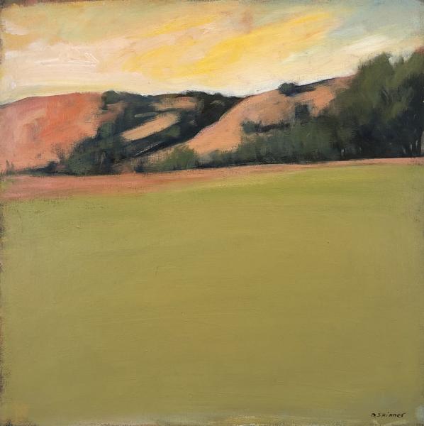 Pink Hills