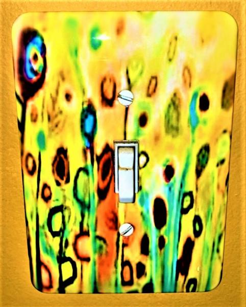 Light Switch Cover 3