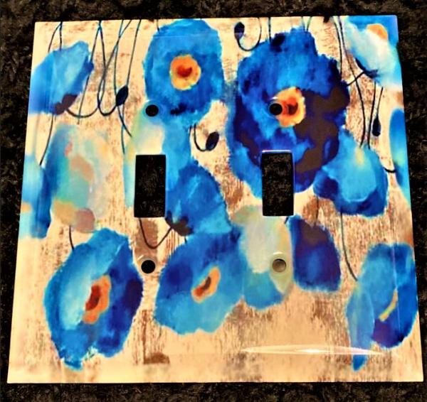 Double Light Switch Panel