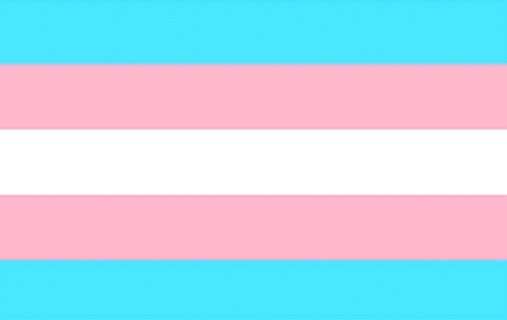 LGBT TRANS