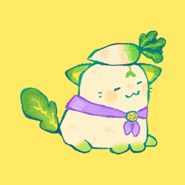 daikon dandy