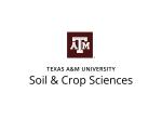 Soil and Crop Sciences Department, Texas A&M University
