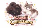 Kawaii Collections