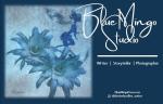 Blue Mingo Studio