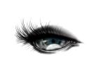 The Commissioner ( last year it was Eye Can Illustrate it)
