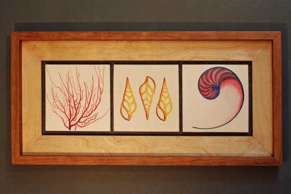 Decoratively Framed Ocean Themed Tiles