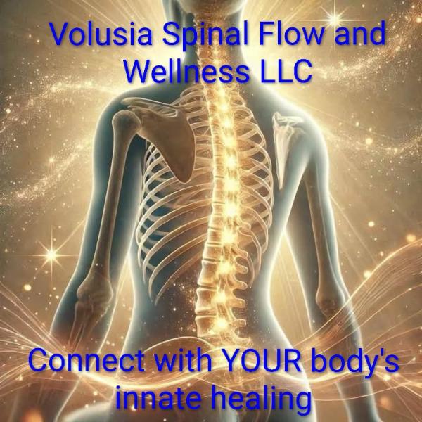 Volusia Spinal Flow and Wellness LLC