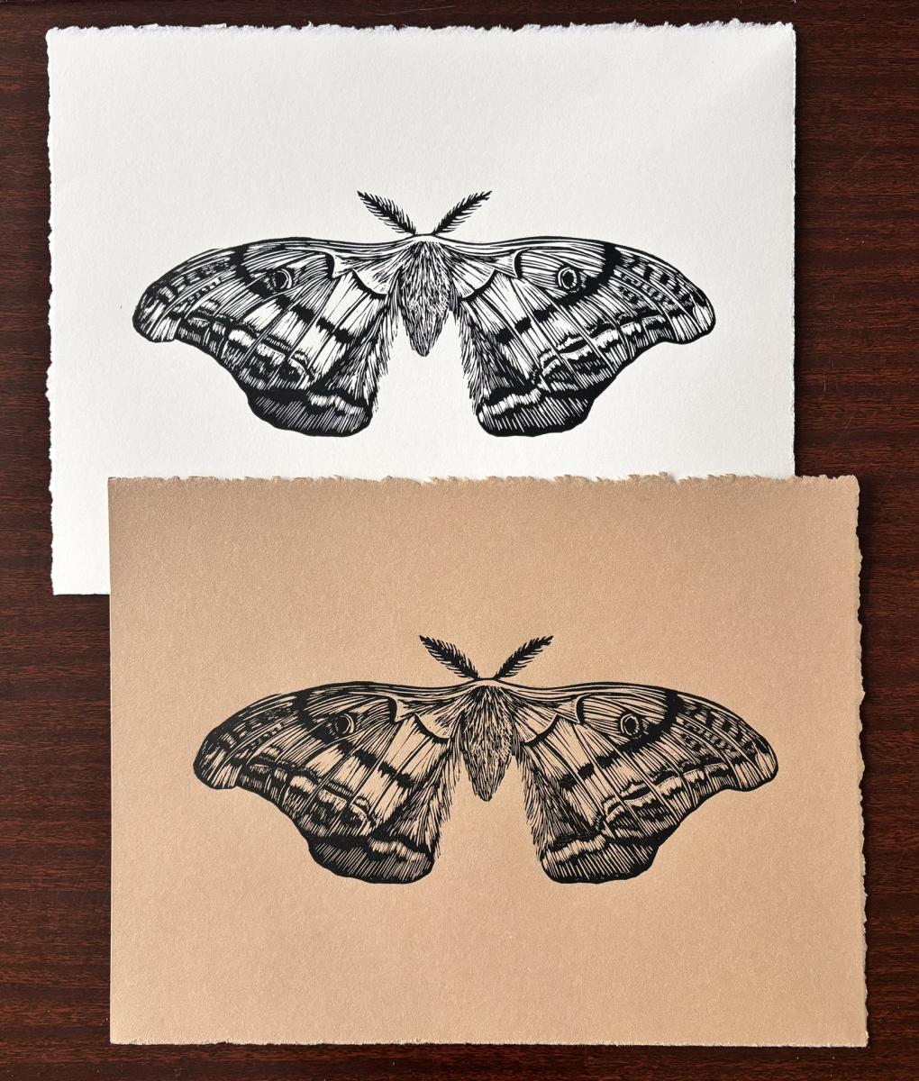 Lauren Sowder Art - Newport News - Virginia - United States - Eventeny