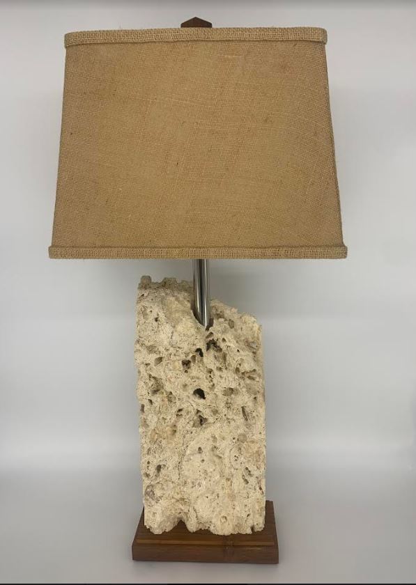 Natural Top Fossilized Coral Lamp