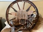 Horseshoe Decor & More