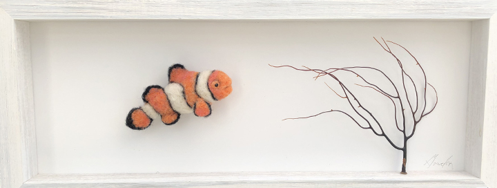 Clownfish picture