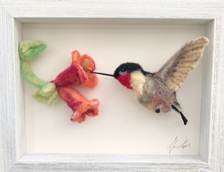 Hummingbird picture