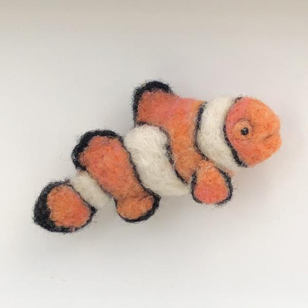 Clownfish picture