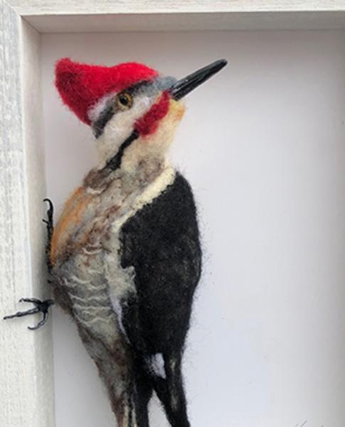 woodpecker picture