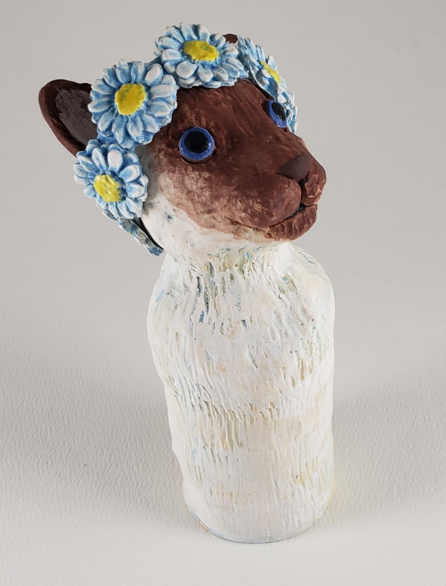 Sasha the Siamese Cat picture