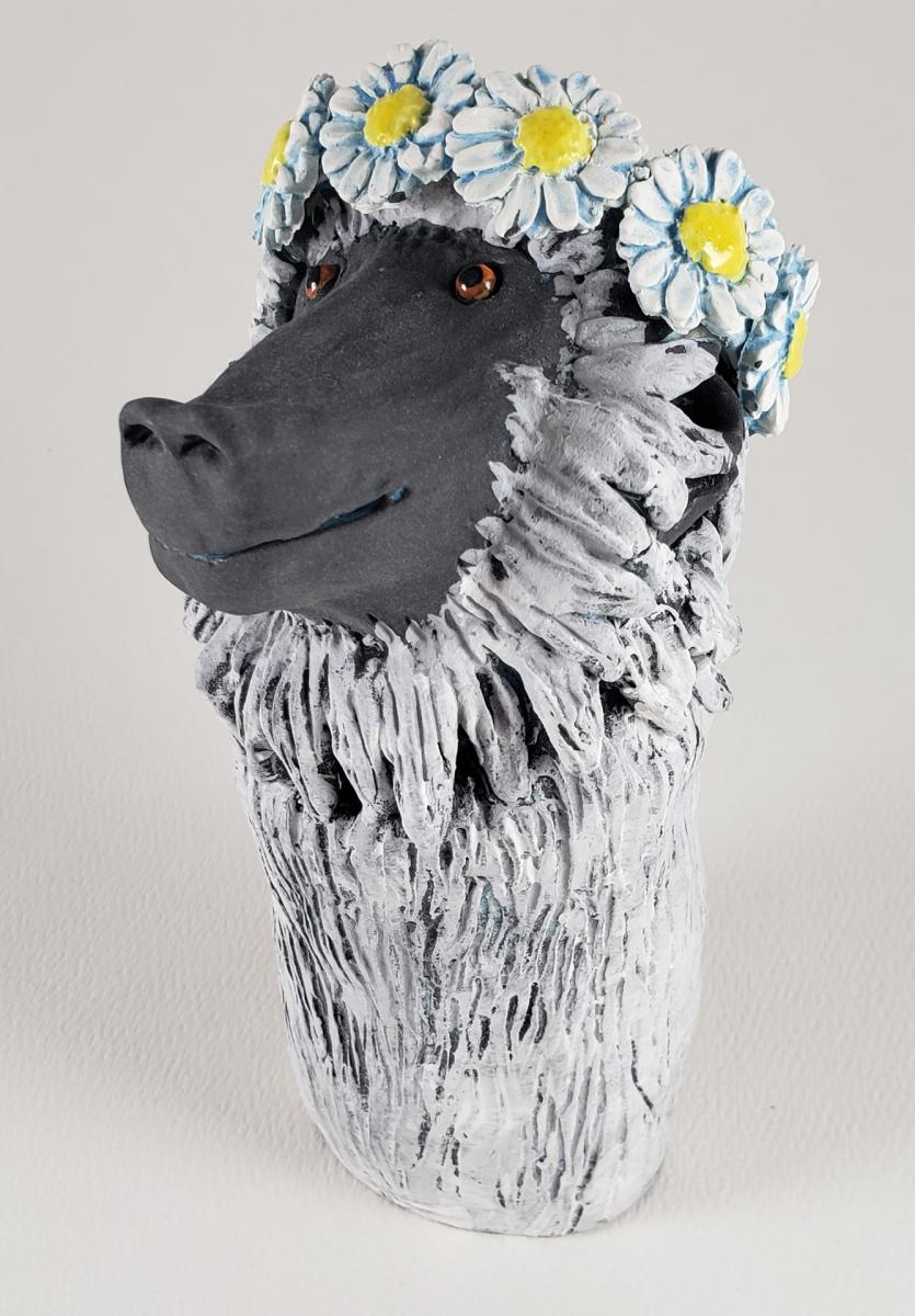 June the Baboon picture