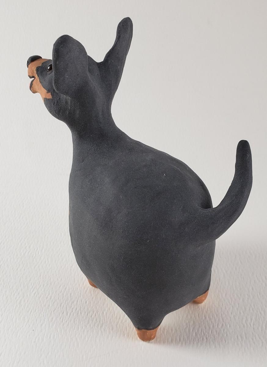 Tristan the Happy Tri-Colored Dog picture