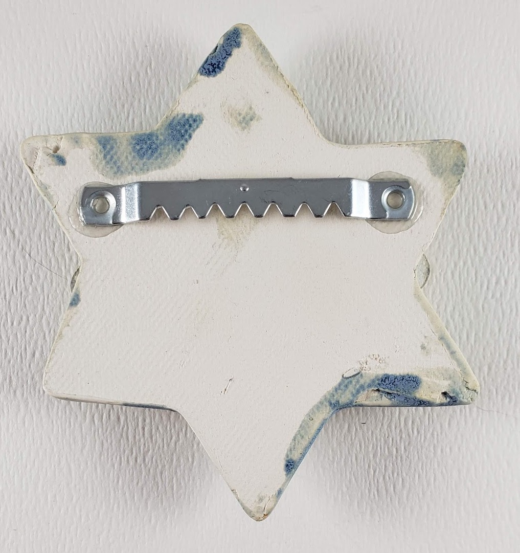 "Shalom" Star of David Word Plaque picture