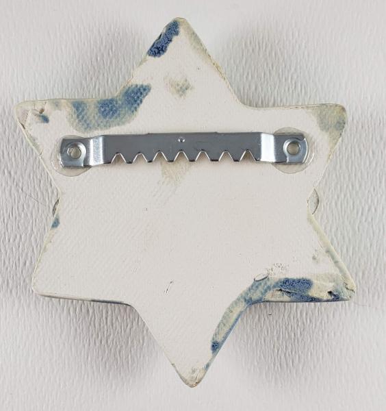 "Shalom" Star of David Word Plaque picture