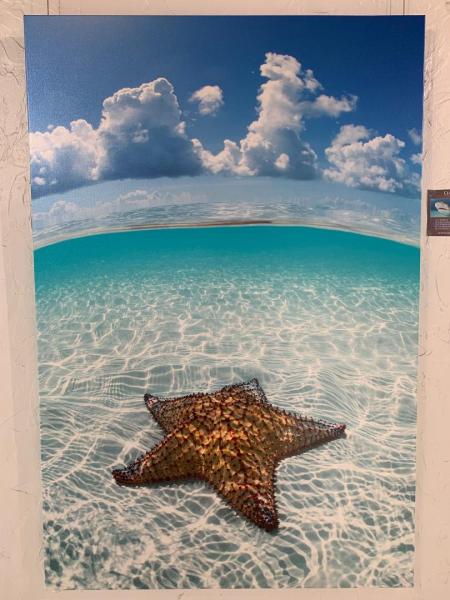 StarStruck - 60x40 canvas picture