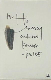 For His mercy endures forever - Psalm 135 picture