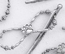 Paw print - Mini picture