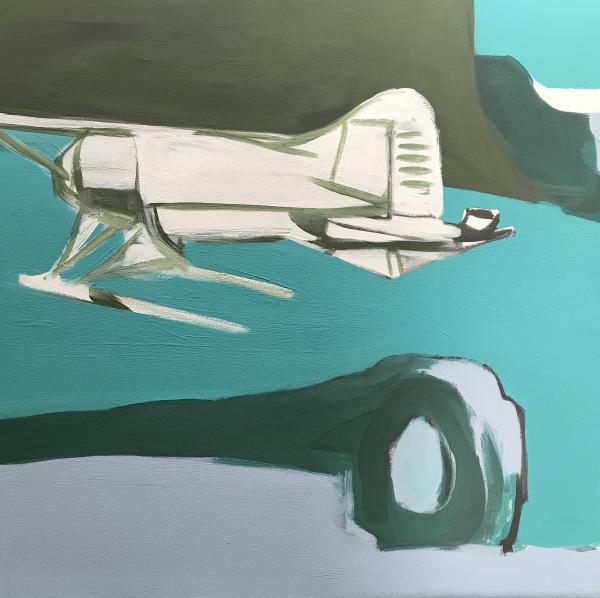 Bush Plane