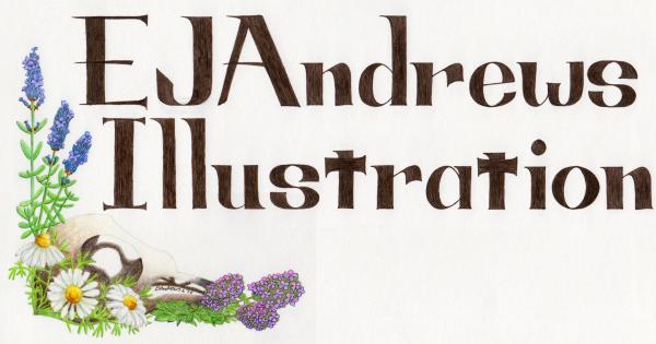 EJAndrews Illustration