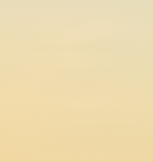 Willo Artists & Makers