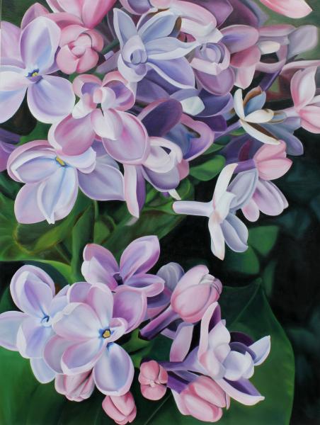 Lilacs picture