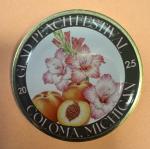 Past Festival Pin