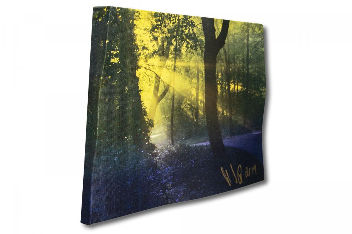 After the Storm&mdash;Sketch #1 picture