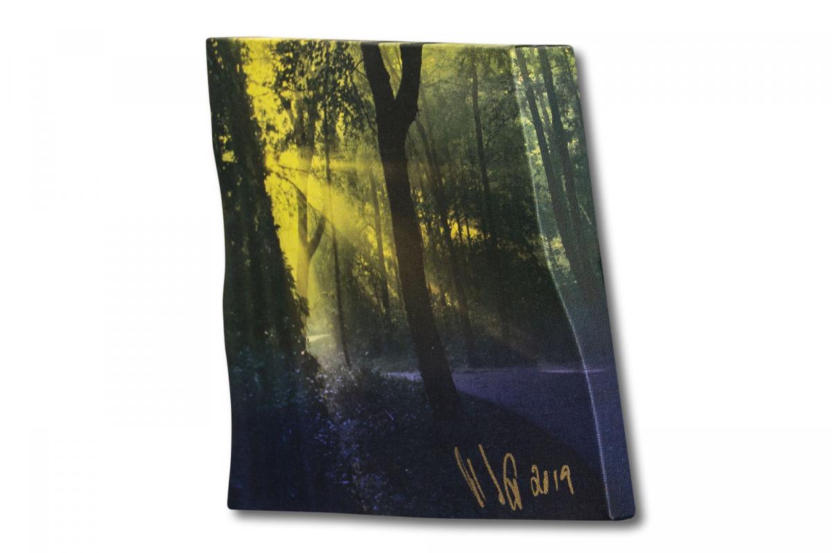 After the Storm&mdash;Sketch #1 picture